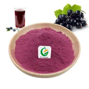Fruiterco Natural Organic Maqui Berry Fruit Powder estratto di bacche di Maqui in polvere