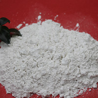 Argile blanc de poudre de kaolin de Metakaolin pour le ciment/béton