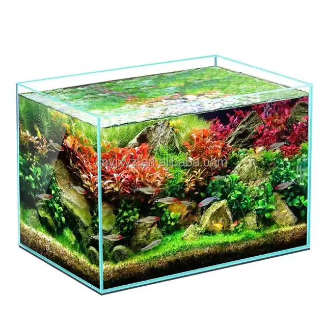 Custom acrylic fish tank ultra clear aquarium sturdy transparent board acrylic aquarium