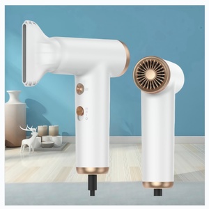 Sèche-cheveux professionnel 110000RPM 1100W, mini sèche-cheveux à ions négatifs, séchage rapide, BLDC, sèche-cheveux portable pour les voyages - Product Image 1