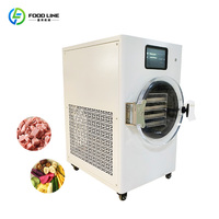 Commerciële kleine schaal voedselvriesdroogmachine vacuümlyofilisator voor fruit, snoep en huisdierenvoedselverwerking
