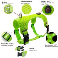 Harnais pour chien LED rechargeable personnalisé UMIONE, gilet réfléchissant pour animaux de compagnie, gilet de sécurité lumineux, plusieurs tailles