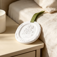 Diffuseur d'arômes en céramique pour armoire, pierre parfumée aux huiles essentielles, désodorisant d'ambiance décoratif pour la maison