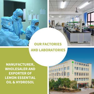 Approvisionnement d'usine Huile essentielle d'angélique naturelle pure Marque privée personnalisée pour les soins corporels - Product Image 4