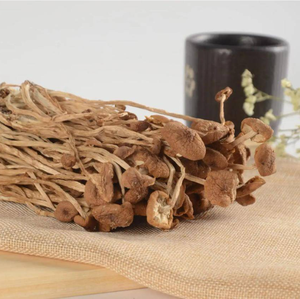 Série de champignons naturels nutritifs champignon d'arbre à thé séché bonne qualité cyclocybe <span class=keywords><strong>aegerita</strong></span> - Product Image 2