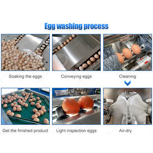Máquina eléctrica de lavado de huevos ORME, línea automática de limpieza de huevos, máquina de limpieza y secado de huevos de pollo - Product Image 3
