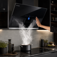 Hood Dapur Otomatis Pembersih Sendiri Model T Eropa 60cm 90cm Heavy-Duty, Rakitan Logam