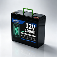 Paket Baterai LiFePO4 12V 100Ah Aman dan Stabil untuk Sistem Panel Surya, Perkemahan Luar Ruangan, dan Pembangkit Listrik