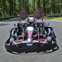 Kart électrique personnalisable pour adolescents, kart électrique pour adolescents destiné aux clubs de jeunes et aux projets de divertissement en plein air