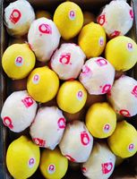 2025 Verse Fruit & Groenten Hoge Kwaliteit Geïmporteerd uit China Groothandel Pitloze Citroenen Langdurige Versheid Superieure Smaak Koel