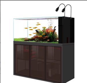 Nuevo Pecera de Escritorio para Exteriores, Pequeña, de Lujo Ligero, con Filtro Inferior, Cristal Ultra Blanco, Ecológica, para Peces Dorados, Sin Agua - Product Image 4