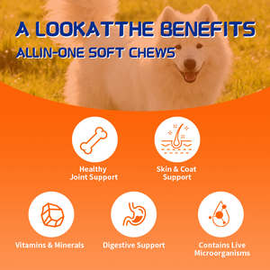 Chien Multivitamin Chew Supplément-Fabricant OEM, formule personnalisée et emballage, faible Minimum de commande Allergy Support Supplément - Product Image 3