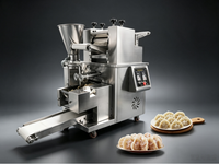Machine à faire des raviolis compacte et mini pour la maison, fonctionnement manuel pour le comptoir de cuisine, machine à emballer les raviolis