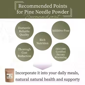 Polvo de Agujas de Pino Herbal Natural, Extracto de Planta para Mezclar en Té Caliente, Batidos o como Suplemento Holístico para el Bienestar - Product Image 3