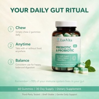 Gummies prébiotiques et probiotiques à marque privée, véganes, à la pectine, pour la santé intestinale, l'équilibre digestif, le renforcement immunitaire, saveur naturelle de baies