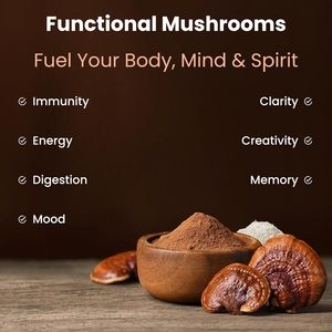 Bebidas en polvo de hongos de etiqueta privada, ingredientes orgánicos para mujeres y hombres, suplemento de polvo de hongos de soporte energético diario - Product Image 5