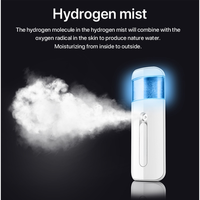 Vente en gros d'usine Mini vaporisateur de nano-brume d'hydrogène pour la beauté de la peau et des yeux Vaporisateur facial à vapeur d'eau
