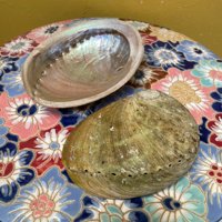 Coquille d'ormeau polie du Vietnam, écologique, naturelle, faite à la main, souvenir moderne en coquillage