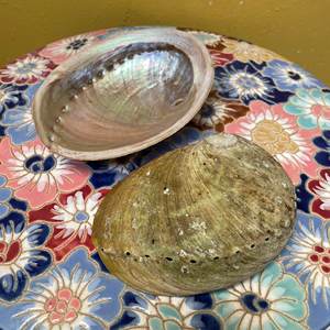 polished <b>abalon</b> <b>shell</b> Vietnam seashell Eco-Friendly Natural Seashell Handmade Modern Souvenir natural - Product Image 1