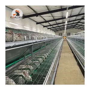 PoulTech מפעל טוב באיכות חדשה באופן מלא אוטומטי ציוד עופות ארנב כלוב