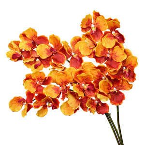 <span class=keywords><strong>Vanda</strong></span> artificiale idratante al tocco realistico e orchidee Phalaenopsis perfette per la casa di nozze e la decorazione ingegneristica - Product Image 5