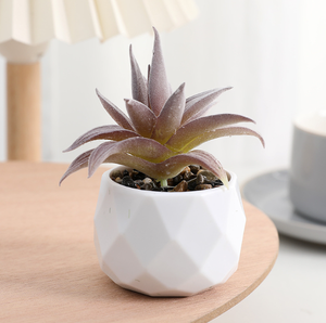 Décoration de <span class=keywords><strong>plantes</strong></span> artificielles en plastique <span class=keywords><strong>mini</strong></span> <span class=keywords><strong>plantes</strong></span> <span class=keywords><strong>succulentes</strong></span> bonsaï <span class=keywords><strong>plantes</strong></span> avec Pots en céramique - Product Image 6