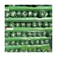 Rouleau de tissu pp noir en gros au meilleur prix d'usine, feuille de couverture de sol en polypropylène tissé tissu agro de contrôle des mauvaises herbes
