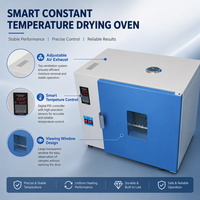 Horno de Secado Inteligente con Temperatura Constante, Equipo de Secado para Laboratorio con Controlador de Temperatura LED para Secado y Horneado