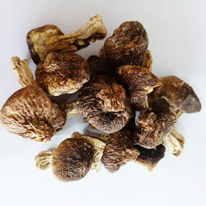 Alimentos saludables Seta Shiitake seca <span class=keywords><strong>Matsutake</strong></span> <span class=keywords><strong>Tricholoma</strong></span> Matsutak seco - Product Image 1