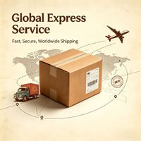Service de transport aérien express personnalisé, transitaire multi-lignes, service de messagerie aérienne porte-à-porte pour les vendeurs du monde entier