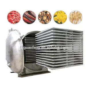 Blast vacuum freezing drying machine durian fruit freeze dryer equipment frozen-dried food making line