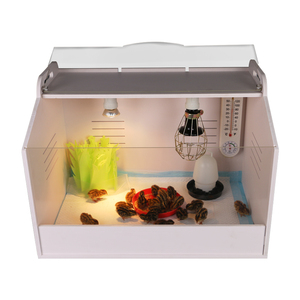 Chất lượng cao công nghiệp Chick brooder, weiqian brooder Box cho Chick chim cút Parrot chim với đầy đủ phụ kiện - Product Image 2