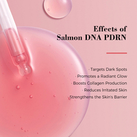 Vente en gros PDRN Sérum peptide rose avec niacinamide Sérum éclat rose Sérum anti-âge raffermissant pour la peau coréenne