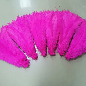 <span class=keywords><strong>Samber</strong></span> Carnival 18-20 pulgadas blanqueado teñido Nandu pluma recortada plumas de avestruz barato Caribe carnaval accesorios graduación - Product Image 1