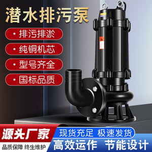 Bomba Sumergible Eléctrica para Drenaje y Control de Inundaciones de Gran Caudal, Multiusos Agrícolas, Antiobstrucción, Modelo LIANHENONGMU - Product Image 2