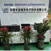 Dongguan Blue Mirror Ling Electronic Technology Co., Ltd. logo