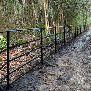 Bất động sản hàng rào Clip Irish England palisade công viên quốc gia lan can hàng rào Clip - Product Image 1