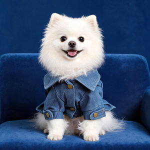 PETCIRCLE Ropa para Mascotas para Primavera y Otoño, Perros Pequeños, Cachorros, Diseño con Cuello Bonito y Moderno, Chaqueta Vaquera para el Día del Juego - Product Image 3