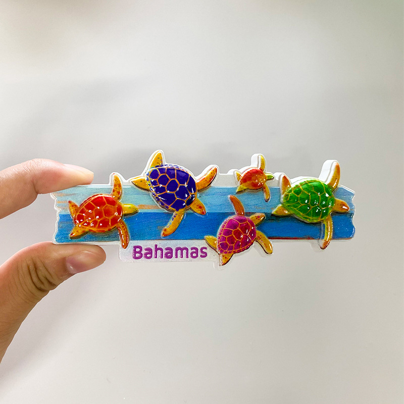 Tortues marines des Bahamas