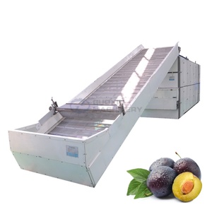 Ayva, Damson ve <span class=keywords><strong>Sloe</strong></span> Meyvelerini Kurutmak İçin Büyük Kapasiteli Yüksek Verimli Örgü Bantlı Kurutma Üretim Hattı - Product Image 1