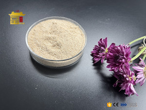 <strong>Septic</strong> <strong>Tank</strong> Treatment Bio Enzyme Decomposing Bacteria <strong>Septic</strong> <strong>Tank</strong> <strong>Cleaner</strong> - Product Image 5