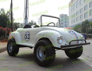 Regalo de Navidad 1500W Mini <span class=keywords><strong>Beetle</strong></span> Mini Hot Rod 1500W <span class=keywords><strong>Carro</strong></span> de motor sin escobillas Mini carrito de golf de 2 plazas Coche eléctrico a la <span class=keywords><strong>venta</strong></span> - Product Image 6