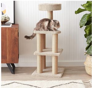 تصميم حديث للأماكن الداخلية خشب صلب ، برج شجرة سقف Conde للقطط الكبيرة - Product Image 4