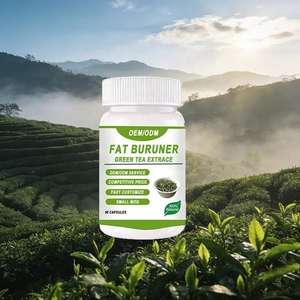 Capsules d'extrait de thé vert, polyphénols EGCG, complément antioxydant pour brûler les graisses et stimuler le métabolisme - Product Image 2