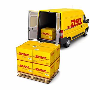 特別な商品の場合は、DHLによる世界中への航空+速達配送 - 保険込み - Product Image 3