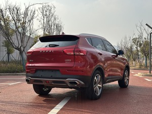 Haval H6 <span class=keywords><strong>Red</strong></span> Label 2.0T <span class=keywords><strong>Auto</strong></span> 2WD 2017, SUV più venduto in Cina, specifiche elevate e spazioso, affidabile per l'esportazione - Product Image 5