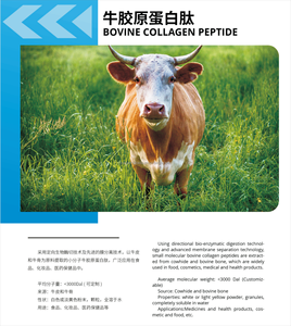 Peptides Hydrolyzed Bovine Bone Collagen Peptides Saudável Food Grade Vital Proteínas Suplemento Halal Colágeno Pele Tipo - Product Image 4