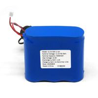 Paket Baterai Lithium-ion 11.1V 14.8V yang Dapat Disesuaikan dan Dapat Diisi Ulang untuk Lampu Jalan Tenaga Surya dengan Layar LCD, Tersedia OEM/ODM