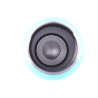 Bouteille d'eau sport isotherme en acier inoxydable de qualité supérieure, grande capacité, avec couvercle en bambou, portable, pour la randonnée en extérieur, 500 ml, style américain