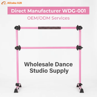 Barra de Ballet Portátil de Acero Rosa, Marca BNcompany, Modelo WDG-001, Ajustable, Independiente, Doble, Ecológica y Duradera